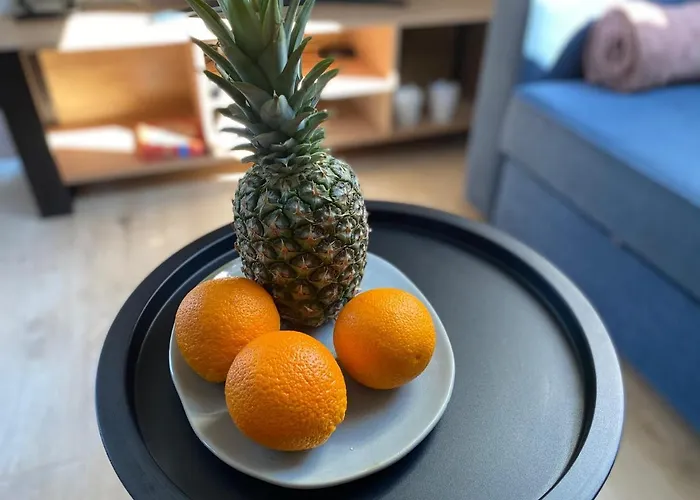 Apartament W Debkach